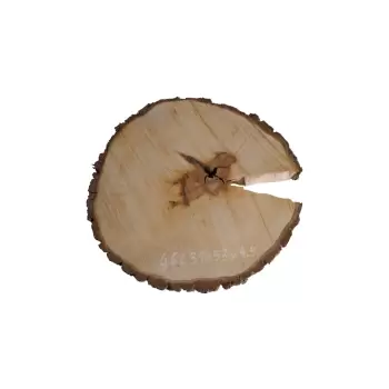 Plaster Gruszy 35x33x4,5cm