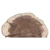 Plaster Jabłoni 66x65cm
