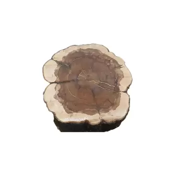 Plaster Jabłoni 66x65cm