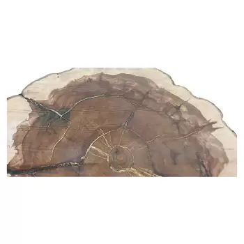 Plaster Jabłoni 66x65cm