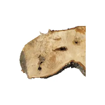 Plaster Kasztanowca 90x44x7cm