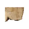 Plaster Kasztanowca 66x47x8cm