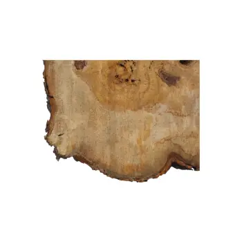 Plaster Kasztanowca 85x58x9cm