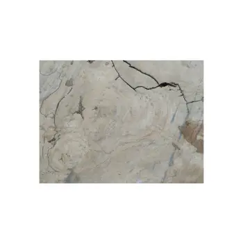 Plaster Kasztanowca 82x65x9cm