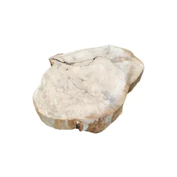 Plaster Kasztanowca 82x65x9cm