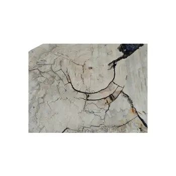 Plaster Kasztanowca 83x60x8,5cm