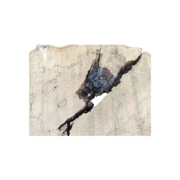 Plaster Kasztanowca 83x60x8,5cm