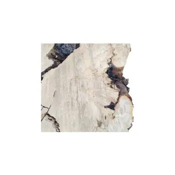 Plaster Kasztanowca 83x60x8,5cm