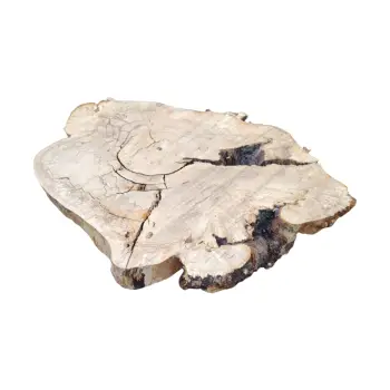 Plaster Kasztanowca 83x60x8,5cm