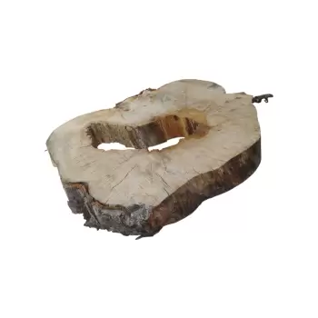 Plaster Kasztanowca 65x61x9cm