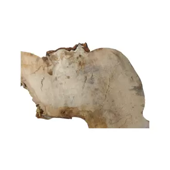 Plaster Kasztanowca 65x61x9cm
