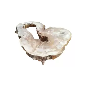 Plaster Kasztanowca 85x75x9cm