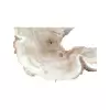 Plaster Kasztanowca 90x67x9cm
