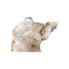 Plaster Kasztanowca 90x67x9cm