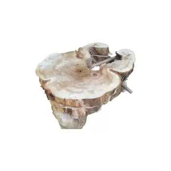 Plaster Kasztanowca 90x67x9cm