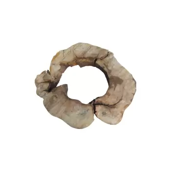 Plaster Kasztanowca 99x89x8cm