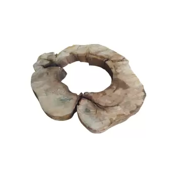 Plaster Kasztanowca 99x89x8cm