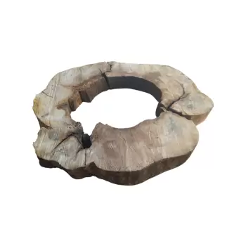 Plaster Kasztanowca 99x89x8cm