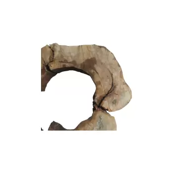 Plaster Kasztanowca 99x89x8cm