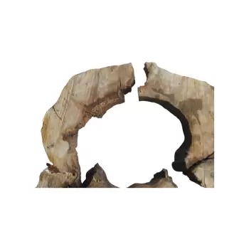 Plaster Kasztanowca 99x89x8cm