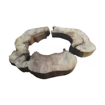 Plaster Kasztanowca 99x89x8cm