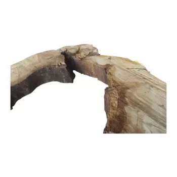 Plaster Kasztanowca 99x89x8cm