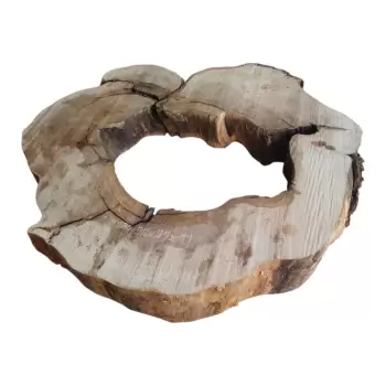 Plaster Kasztana w Kawałkach 92x91x11cm