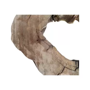 Plaster Kasztana w Kawałkach 92x91x11cm