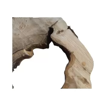 Plaster Kasztana w Kawałkach 92x91x11cm