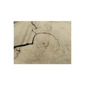 Plaster Kasztanowca 91x64x8cm