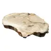 Plaster Kasztanowca 89x63x8,5cm