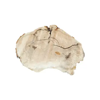 Plaster Kasztanowca 89x63x8,5cm