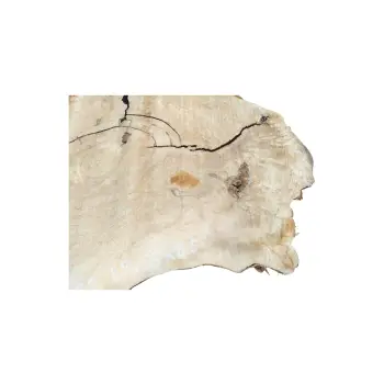 Plaster Kasztanowca 89x63x8,5cm