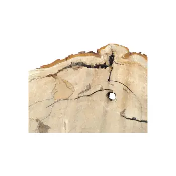 Plaster Kasztanowca 90x64x10cm