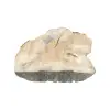 Plaster Kasztanowca 80x53x7,5cm