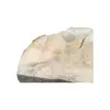 Plaster Kasztanowca 80x53x7,5cm