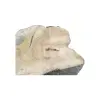 Plaster Kasztanowca 80x53x7,5cm