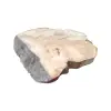 Plaster Kasztanowca 80x53x7,5cm