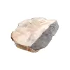 Plaster Kasztanowca 80x53x7,5cm