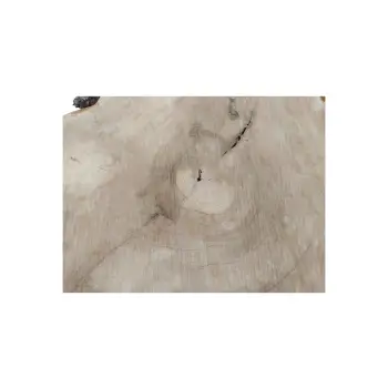 Plaster Kasztanowca 78x69x8cm