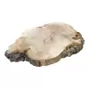 Plaster Kasztanowca 89x70x8,5cm