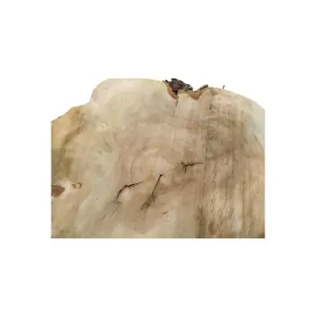 Plaster Kasztanowca 89x70x8,5cm