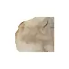 Plaster Kasztanowca 79x89x8cm