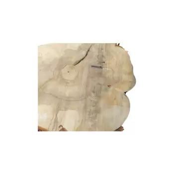 Plaster Kasztanowca 79x89x8cm