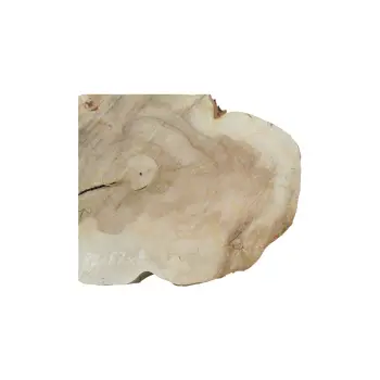 Plaster Kasztanowca 80x67x8cm