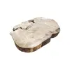Plaster Kasztanowca 89x70x8cm