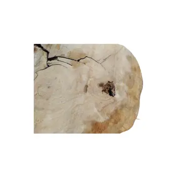 Plaster Kasztanowca 77x66x8cm