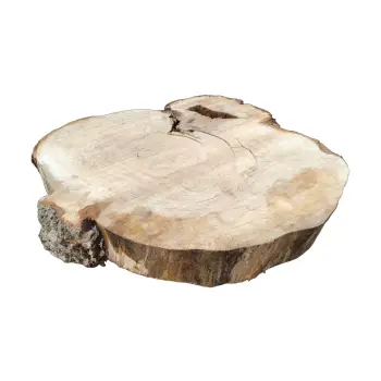 Plaster Kasztanowca 76x70x10cm