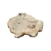 Plaster Kasztanowca 94x72x9cm