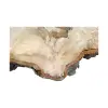Plaster Kasztanowca 94x72x9cm